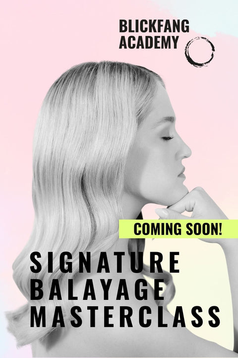 SIGNATURE BALAYAGE MASTERCLASS / 2-tägiges High Performer Seminar